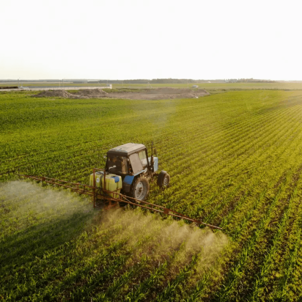 Executive search en industria agropecuaria